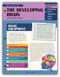 The Developing Brain